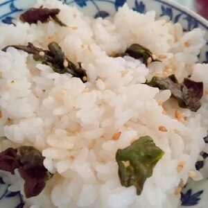 小松菜の混ぜご飯